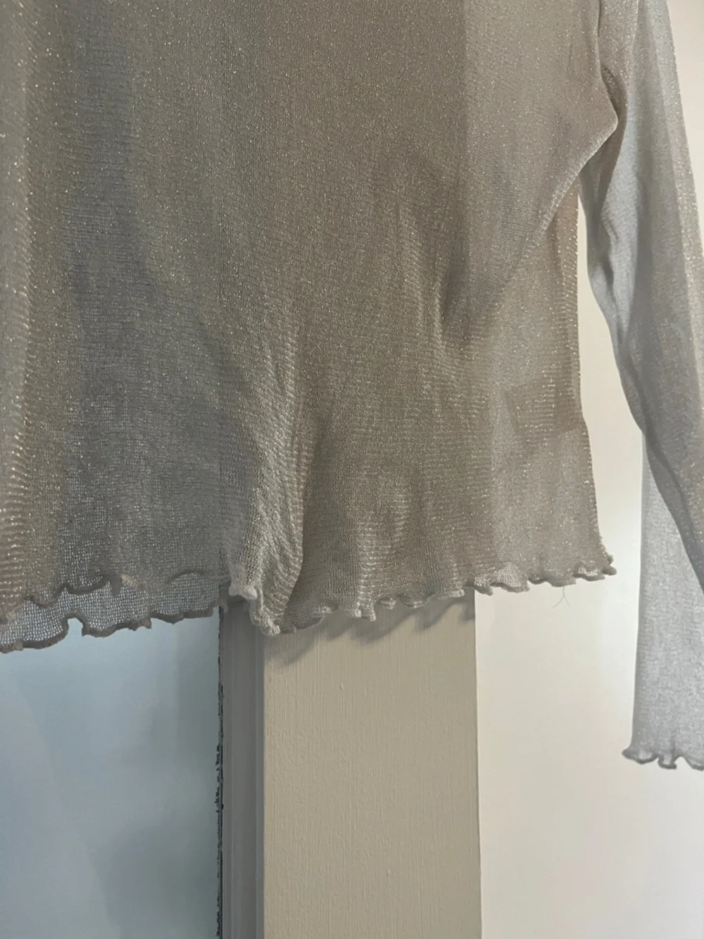 Brandy Melville Silver Metallic Sheer Long Sleeve Top - Picture 3 of 6